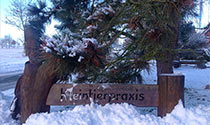 Winterimpressionen